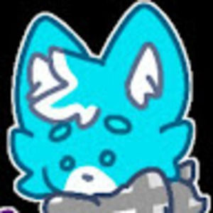 Meet your Posher, Carter